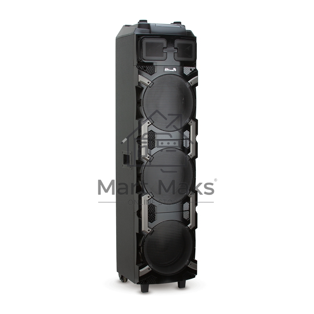 Колонка ELTRONIC 10
