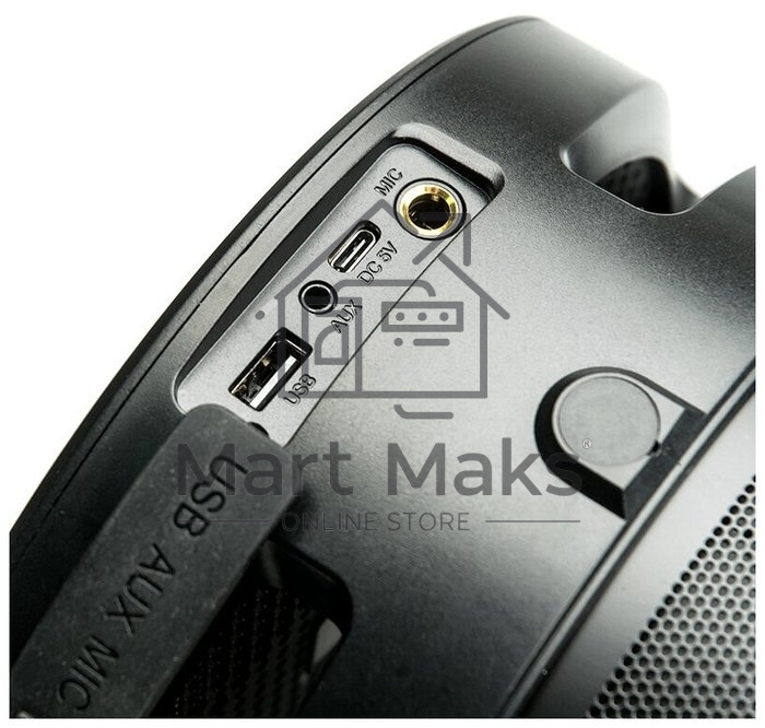 Портативная аудиосистема DIALOG AP-1030