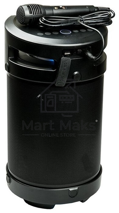 Портативная аудиосистема DIALOG AP-1030