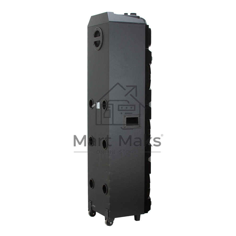 Колонка ELTRONIC 10