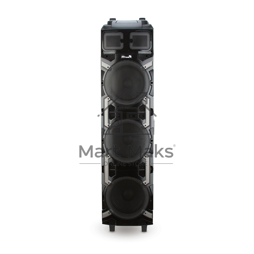 Колонка ELTRONIC 10
