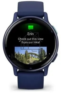 Смарт-часы Garmin Vivoactive 5 42мм синий