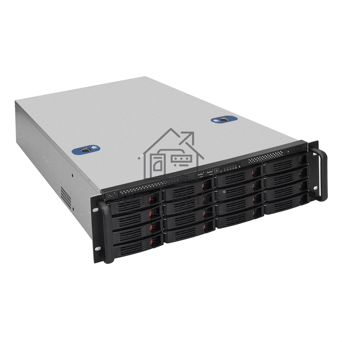 Серверная платформа ExeGate EX292419RUS Pro 3U660-HS16 <RM 19