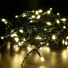 Гирлянда светод. рисовая Funray RL-110WW, 10м, 100LED, тепл.белый, темно-зел. шнур 0,7м, контроллер,