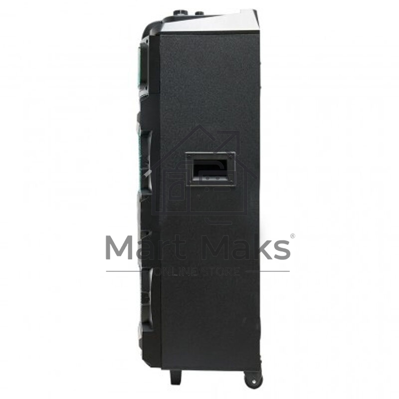 Колонка ELTRONIC 10