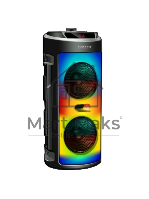 Акустическая система Midi GM-231 TWS/BT/USB/TF/FM/ДУ черный