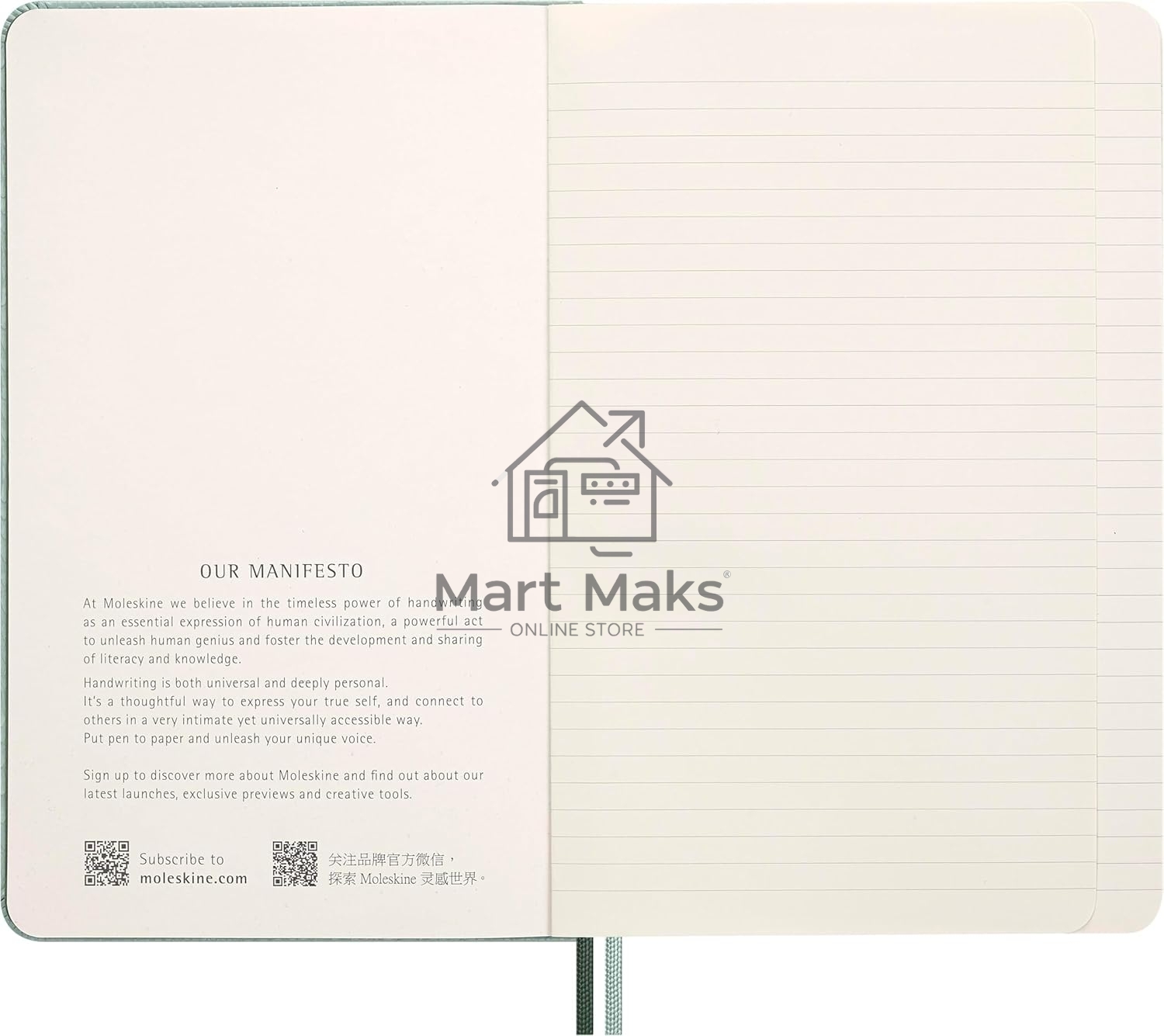 Блокнот Moleskine LIMITED EDITION YEAR OF THЕ SNAKE LECNYSNKVEGMBOX 130х210мм, 176 страниц, линейка, подарочная коробка, мятный Mamba