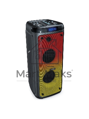 Портативная акустика Smartbuy (SBS-5550) черный