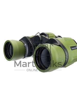 Бинокль Levenhuk Travel 10x40 79574