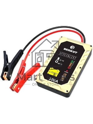 Пуско-зарядное устройство Berkut JSC300С