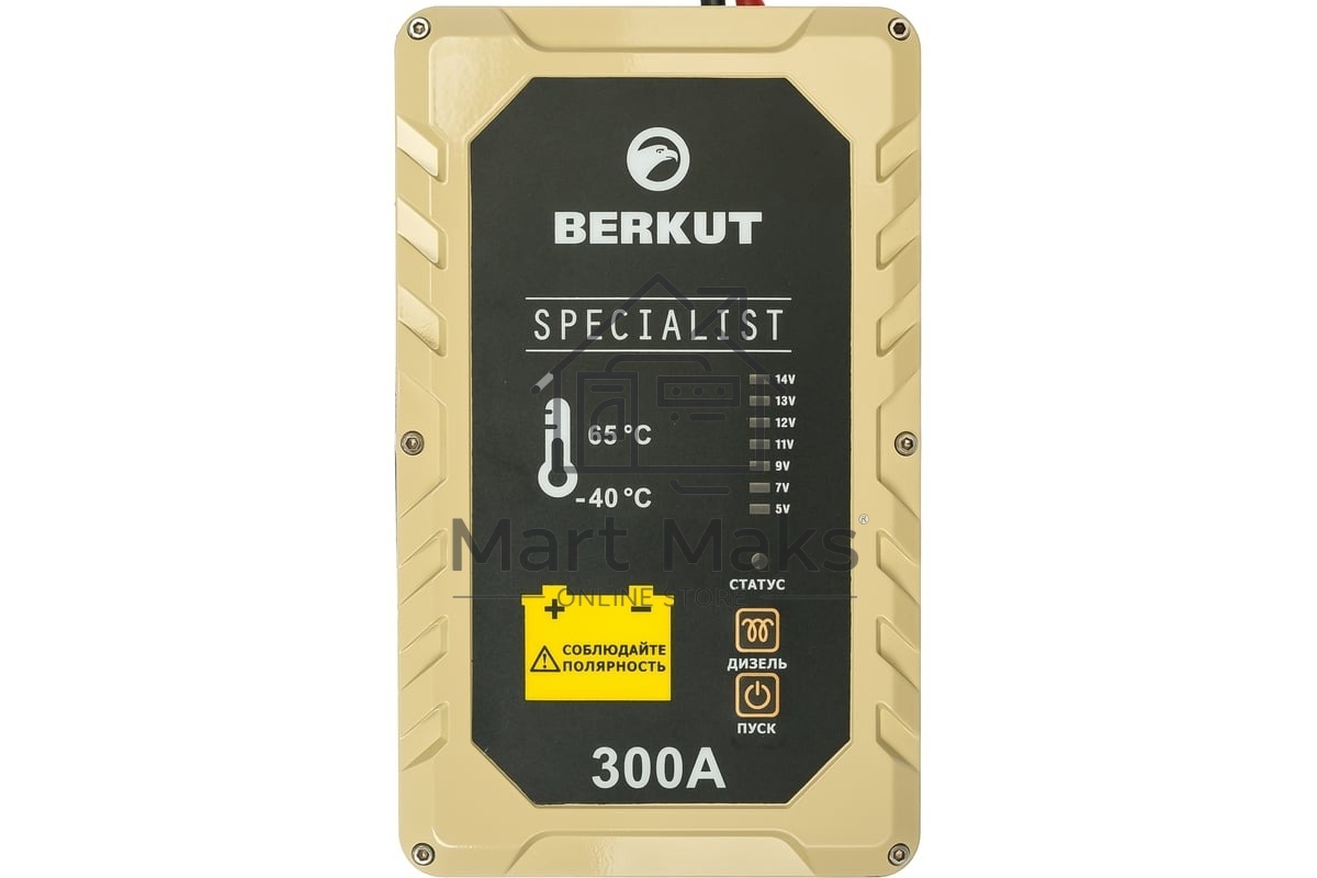 Пуско-зарядное устройство Berkut JSC300С