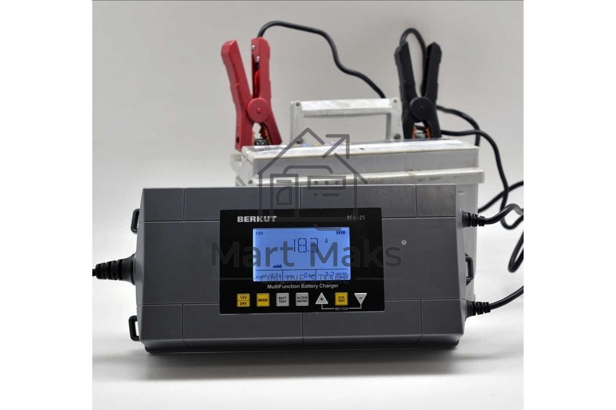 Зарядное устройство Berkut BCA-25