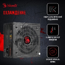 Блок питания Bloody BD-PS700W, 700Вт, 80 PLUS WHITE, 120мм, черный