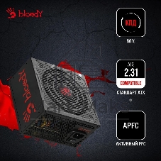 Блок питания Bloody BD-PS700W, 700Вт, 80 PLUS WHITE, 120мм, черный