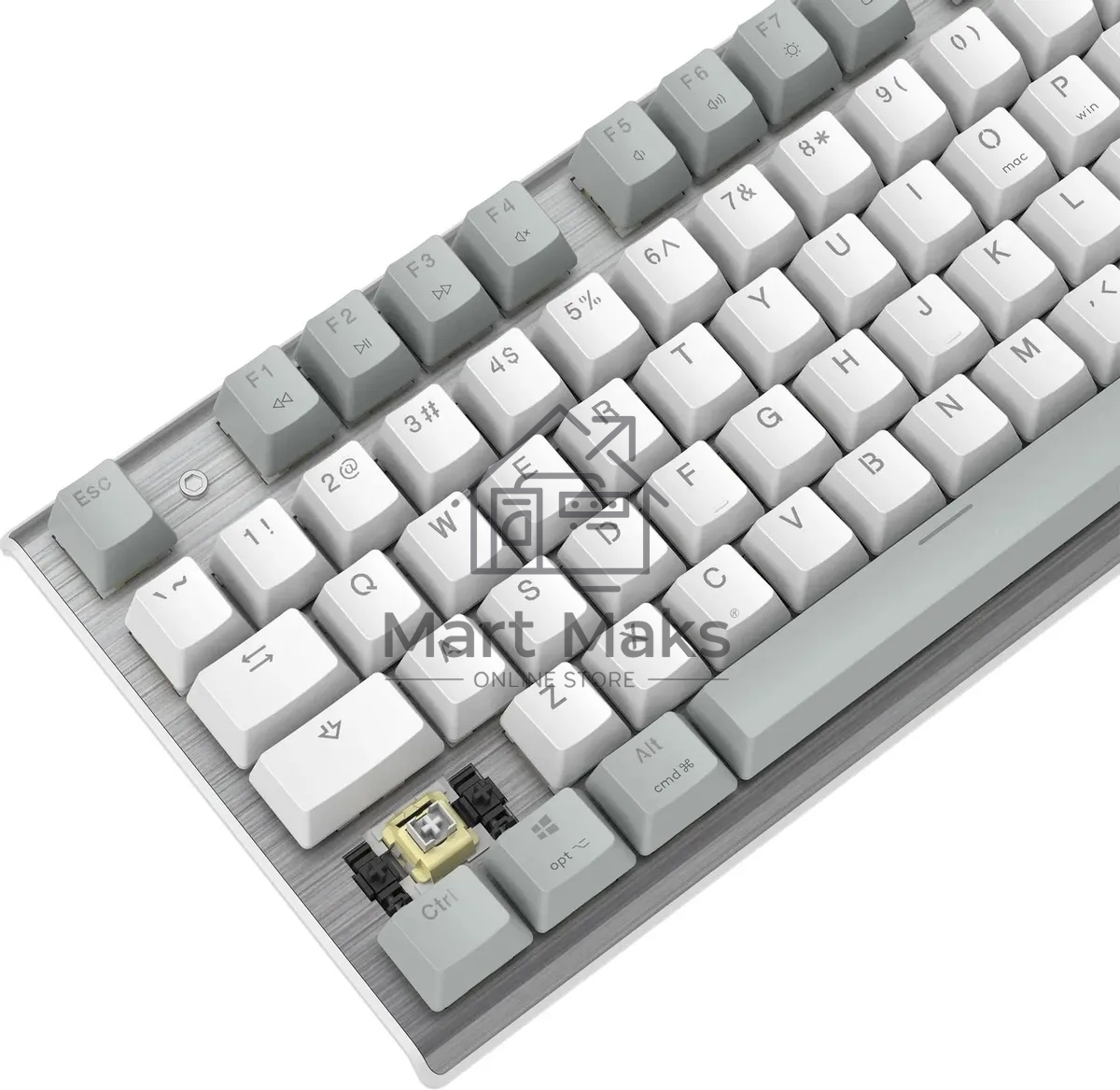 Клавиатура A4Tech Fstyler FS100 Neon проводная, USB, серый/белый