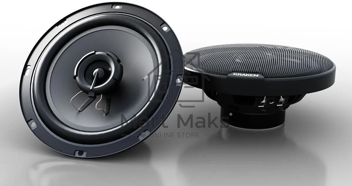 Колонки автомобильные Prology RX-165 160Вт 90дБ 4Ом 16см (6.5дюйм) (ком.:2кол.) коаксиальные двухполосные