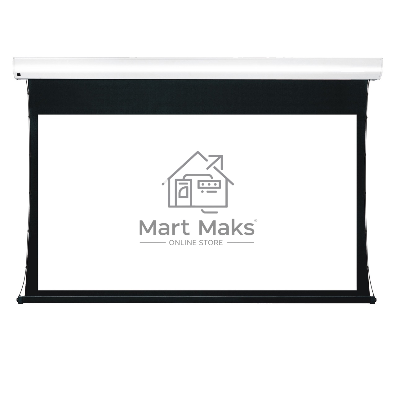 Экран для проектора S'OK Apollo SGPSMT-294x166A бокового натяжения, звукопрозрачный, белый к