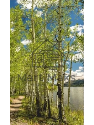 Электрообогреватель бытовой настенный ДЫХАНИЕ ТЕПЛА (рис. Березовый берег) Артикул 20с455