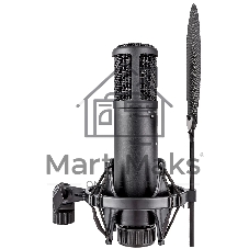 Микрофон конденсаторный sE Electronics SE 2200 20 Гц - 20 кГц, кардиоида, комплектация: металлический поп-фильтр, держатель типа паук, резьбовой переходник на микрофонную стойку