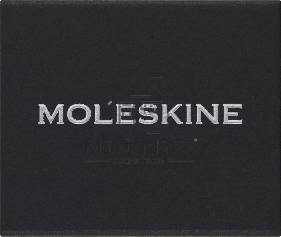 Шильд-символ Moleskine Zodiac Дева, металл, серебристый, коробка с европодвесом, PINVIRGOSILV