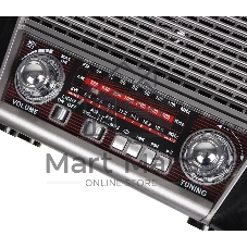 радиоприемник Ritmix RPR-065 серый Портативный трехдиапазонный радиоприемник FM / AM / SW, функция MP3-плеера (читает файлы с microSD/SD/USB носителей), яркий встроенный фонарь, питание от встроенного аккумулятора, от сети 220В, от батареек типа D (2 штуки, в комплект не входят), телескопическая антенна 360° для уверенного приема, AUX IN.