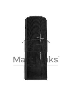 Портативная колонка SOUNDMAX SM-PS5024B черный