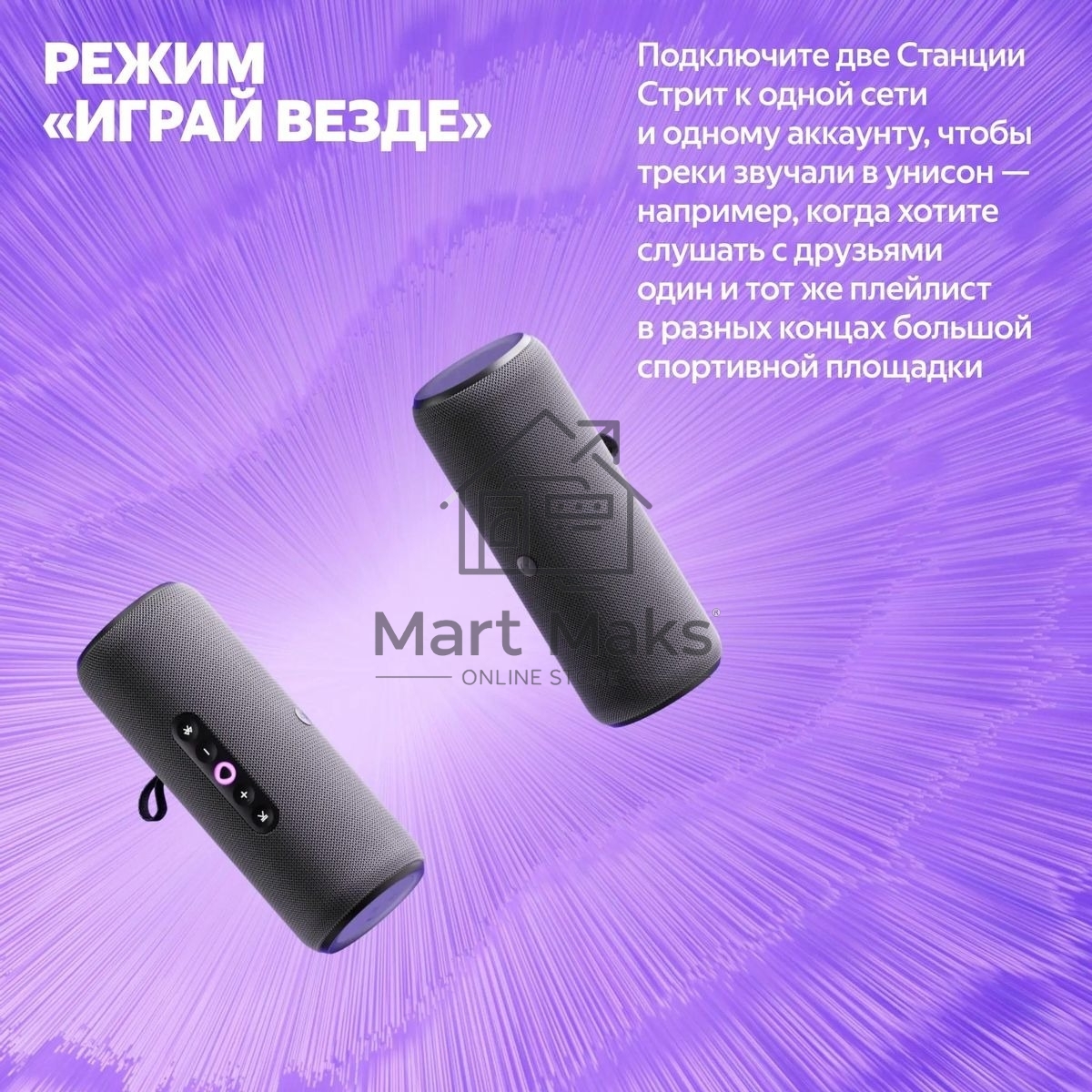 Умная колонка Yandex Стрит Алиса черный 30W 2.0 BT/Wi-Fi 10м 3300mAh (YNDX-00030BLK)