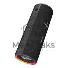 Портативная колонка Soundmax SM-PS5024B черный