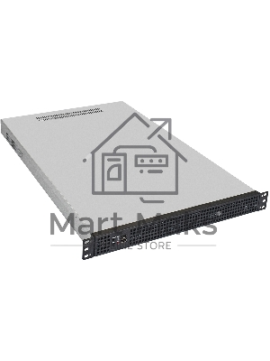 Серверный корпус ExeGate Pro EX288496RUS 1U650-04 (RM 19