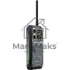Смартфон Blackview XPLORE 1 5G Walkie Talkie 12/256Gb, черный