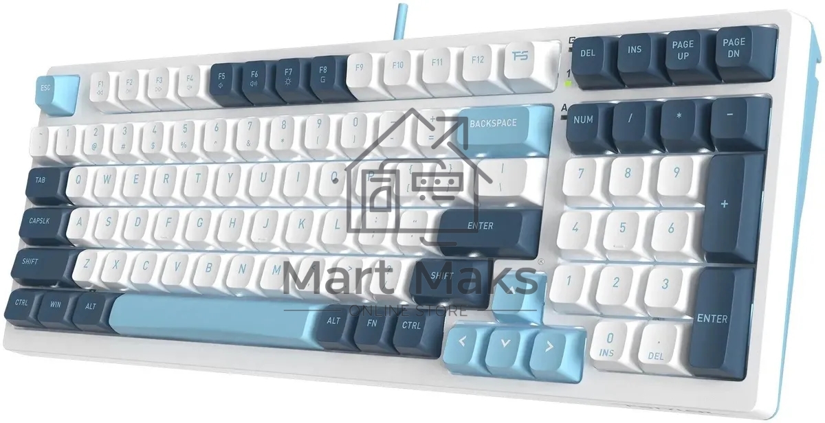 Клавиатура A4Tech Fstyler FS300 (FS300 PANDA SNOWBOARDING) проводная, USB, белый/синий