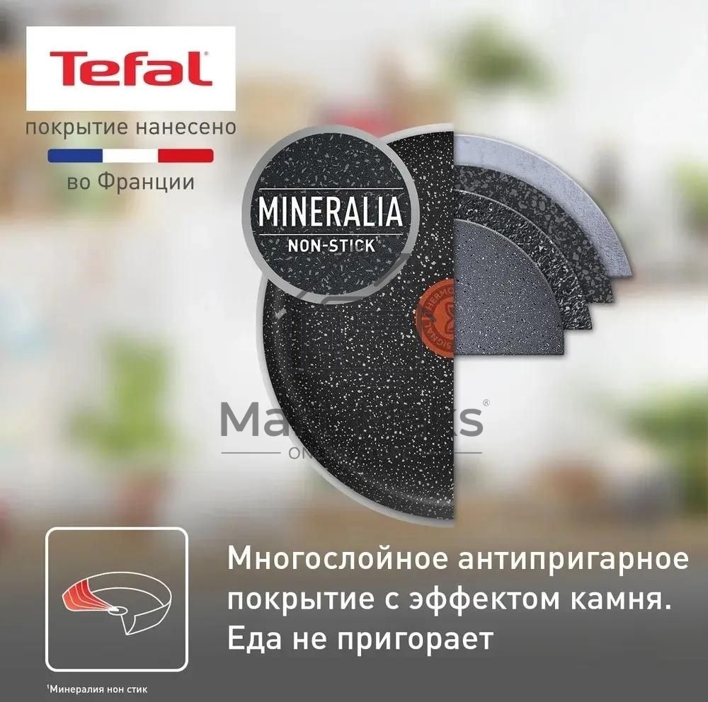 Сковорода блинная Tefal Rock 04235525 круглая 25см покрытие: Mineralia ручка несъемная (без крышки) черный