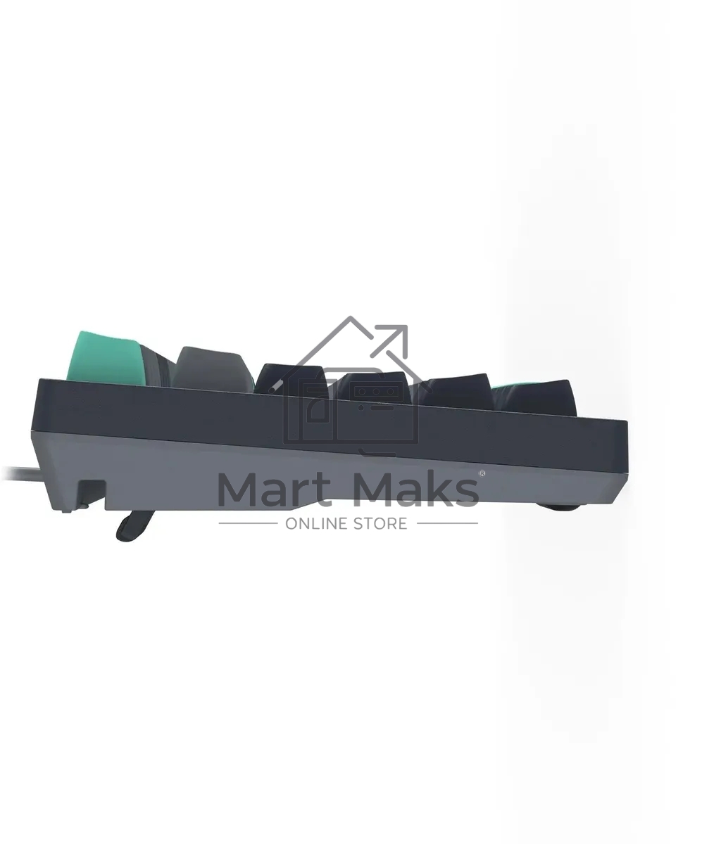 Клавиатура A4Tech Fstyler FS300 механическая черный/серый USB for gamer LED (FS300 PANDA ROCK)