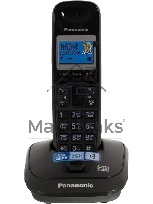 Телефон беспроводной (DECT) Panasonic KX-TG2521RUT (титан) АОН, Caller ID,спикерфон,голосовой АОН,полифония,цифровой автоответчик