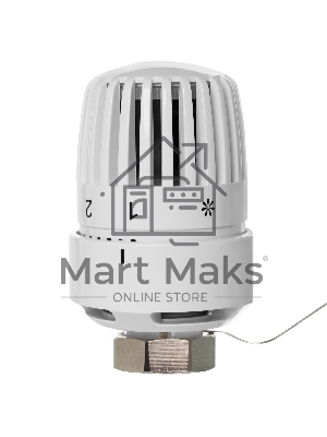 Термоголовка жидкостная Royal Thermo BASIC с выносным датчиком М30х1,5