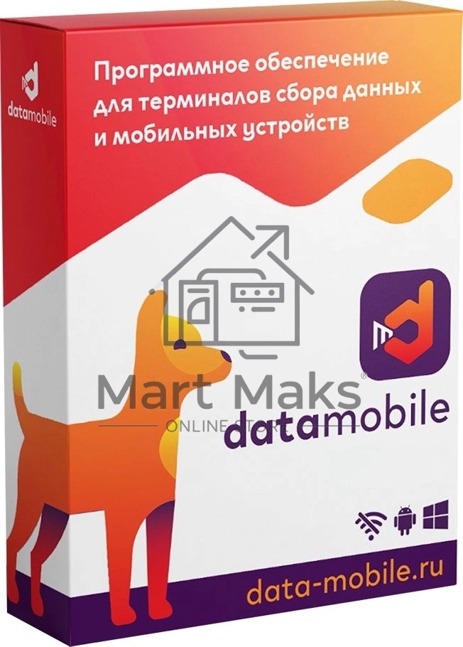 Неискл. право на исп-ие ПО DataMobile версия Стандарт подп.1г. (DM12M)