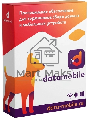 Неискл. право на исп-ие ПО DataMobile версия Стандарт подп.1г. (DM12M)