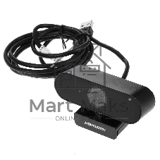 Веб-камера Hikvision DS-U02 1920x1080, 30 кадр/с, USB, микрофон, крепление на мониторе