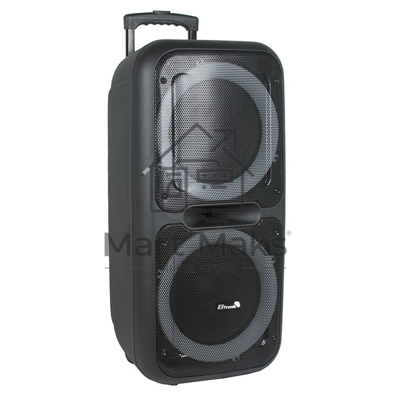 Колонка Eltronic 08