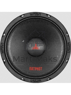 Колонки автомобильные Ural ПАТРИОТ АС-ПТ165.2, (без решетки), 300Вт, 98.5дБ, 4Ом, 16.5см, (6 1/2дюйм), 2шт, широкополосные, однополосные