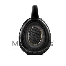 Портативная колонка Hisense VoyageBOOM черный 136W 4.1 BT/3.5Jack/USB