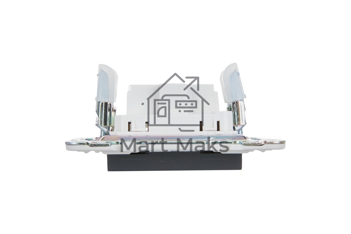 Розетка IEK SKANDY SK-R02G 10А графит без заземл. без защ. шторок SK-R10-10-K53