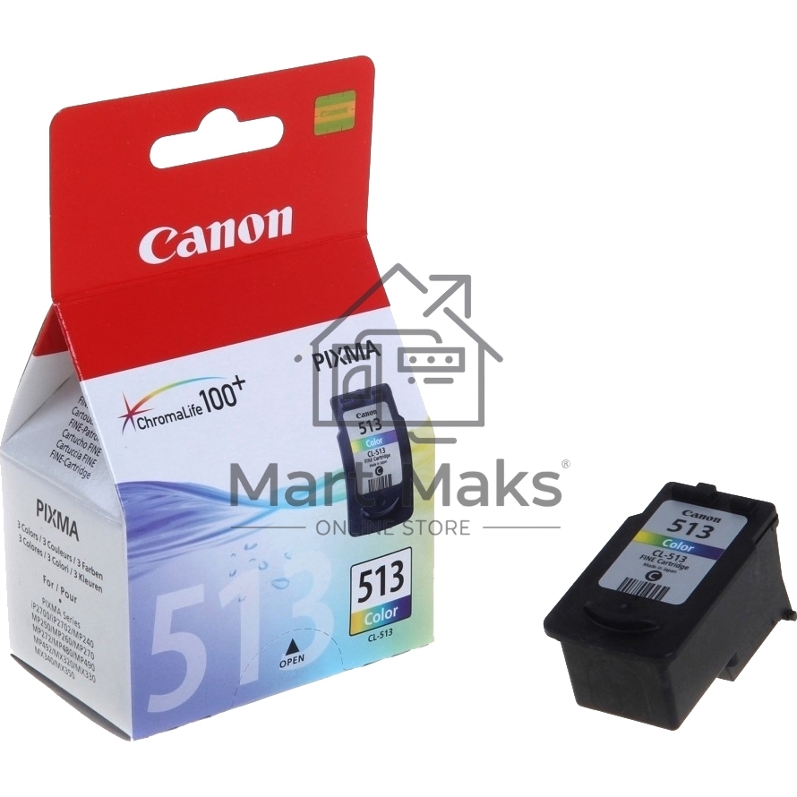 Картридж струйный Canon CL-513IJ CART EMB многоцветный (349 стр) для Canon PIXMA MP230/iP2700/iP2702/MP240/MP250/MP252/MP260/MP270/MP272/MP280