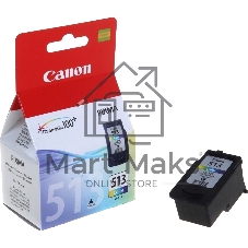 Картридж струйный Canon CL-513IJ CART EMB многоцветный (349 стр) для Canon PIXMA MP230/iP2700/iP2702/MP240/MP250/MP252/MP260/MP270/MP272/MP280