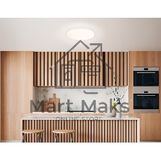 Умный светодиодный светильник FZ2001 WH белый IP54 20W 3000K-6500K+RGB Wi-Fi Алиса/Tuya/Smart Home/Alexa D300*55 (ПДУ ИК)