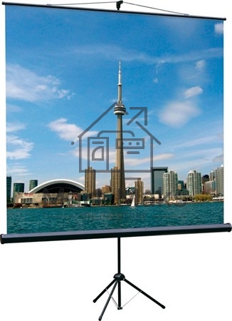 Экран на треноге Lumien 200x200см Eco View LEV-100103 1:1 напольный рулонный