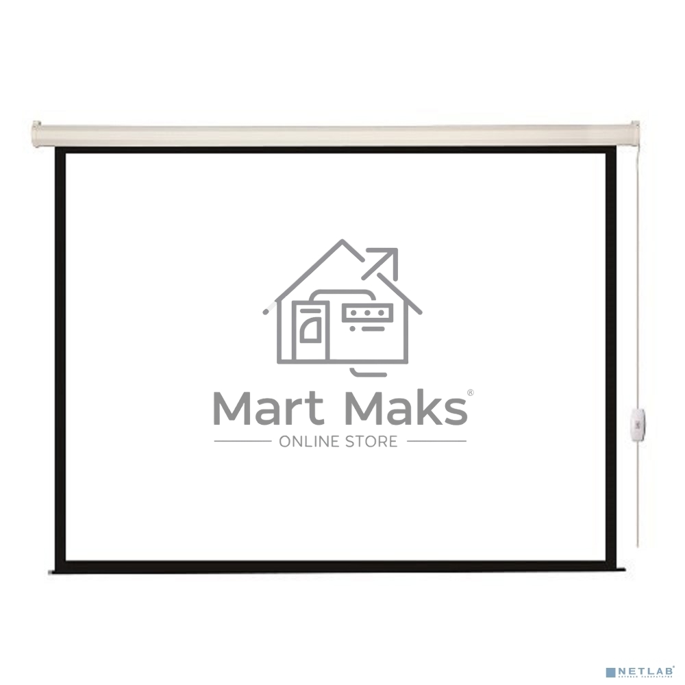 Экран с электроприводом Lumien Eco Control 229x305 см (раб. область 221х297 см) Matte White черная кайма по периметру 4:3