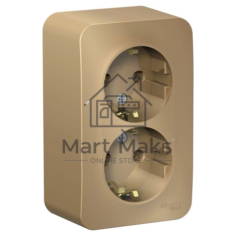 Розетка 2-м ОП BLANCA 16А 250В без шторок c заземл. изол. пласт. титан SchE BLNRA010214