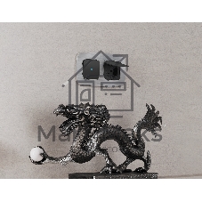 Рамка OMEGA Radian (Серебро Металл шлифованный) 4-ая OF580104