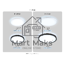 Потолочный светодиодный светильник Ambrella light FZ3050 BK черный IP44 24W+10W 6400+6400К D300*40 (Без ПДУ)